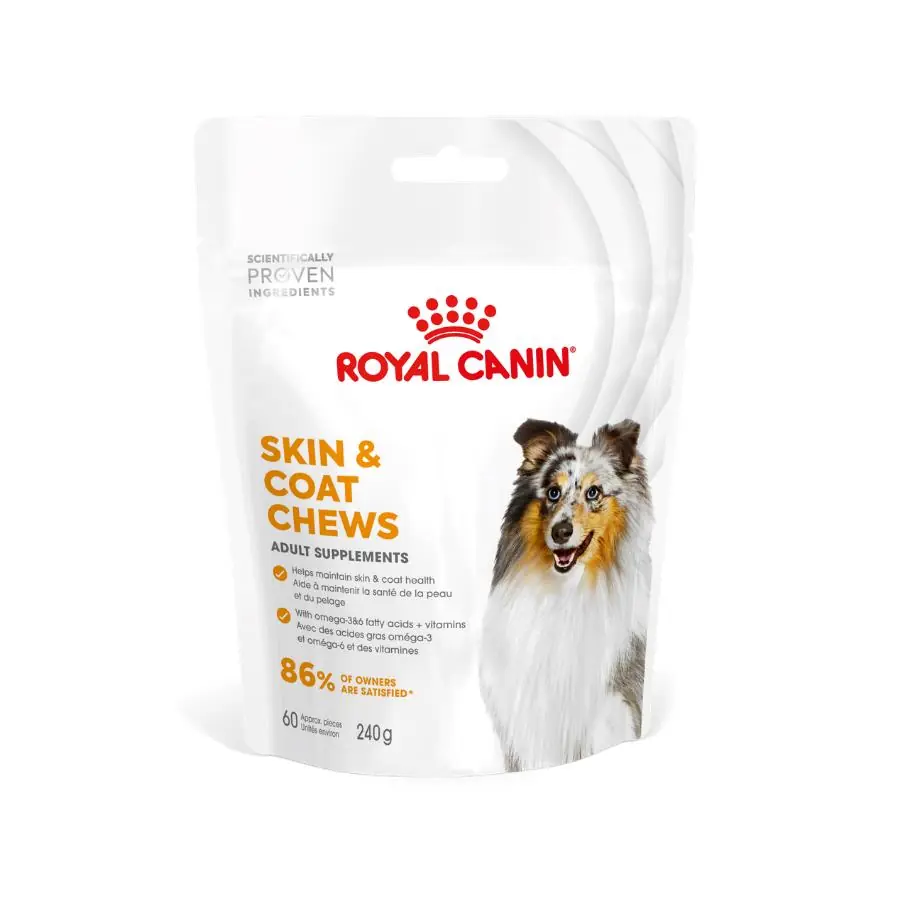 Royal Canin Skin & Coat Supplement Treats for Adult Dogs
