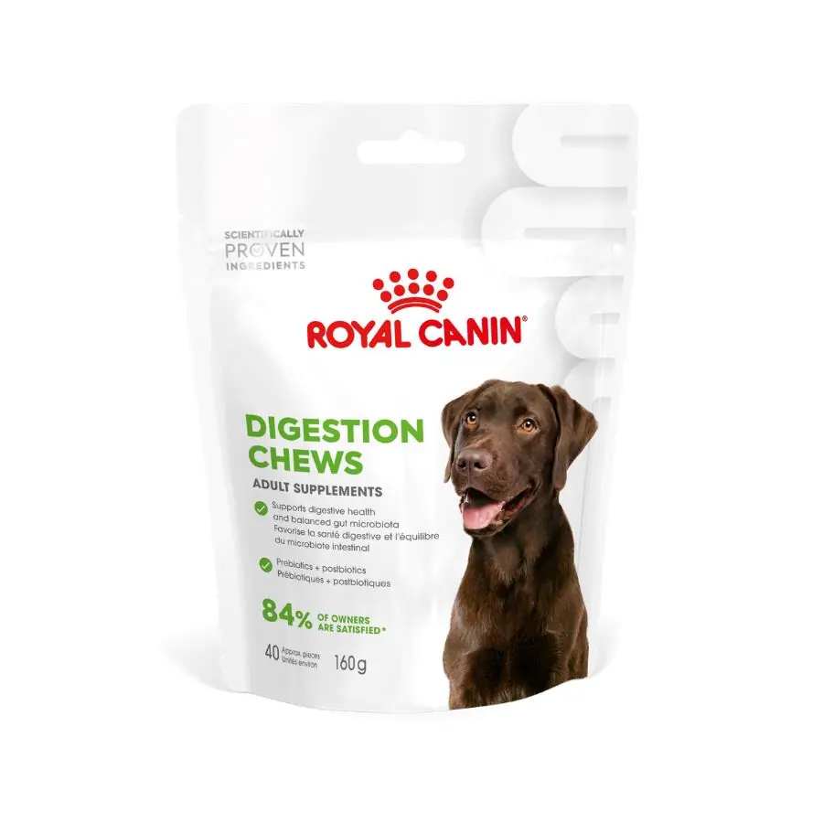 Royal Canin Digestive Support Supplement Treats for Adult Dogs